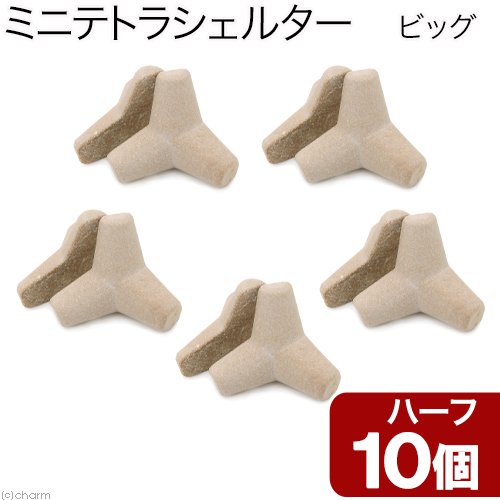ミニテトラシェルター　ビッグ・ハーフ　無地　１０個　アクアリウム対応　高機能セラミックセメント製　ＣＲＣ10―75―50―10―00