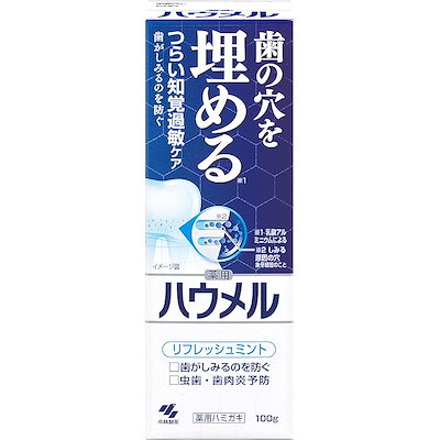 他サイト： ハウメル 薬用ハミガキ 100gの商品画像