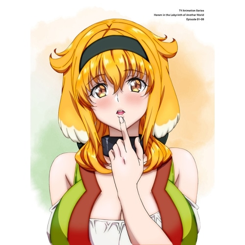 異世界迷宮でハーレムを DVD BOX 上巻(通常版) (DVD) ZMSZ-15941