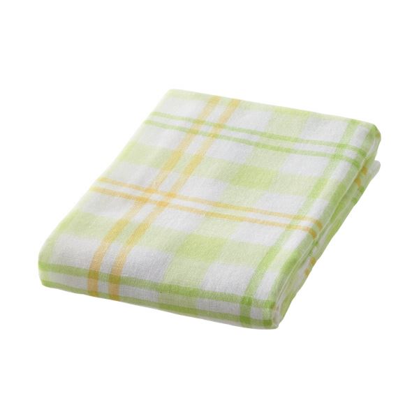 （まとめ） 林 ソーダチェックフェイスタオル グリーン FC449154 1パック（2枚） [x10セット]