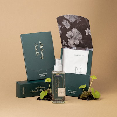 DVD「RAIN'S COMING レインワールドツアー東京」（Rain ピ）