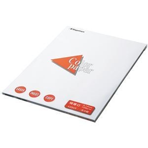 （まとめ） 長門屋商店 Color Paper A3 特厚口 白 ナ-1401V 1冊（100枚） 4セット