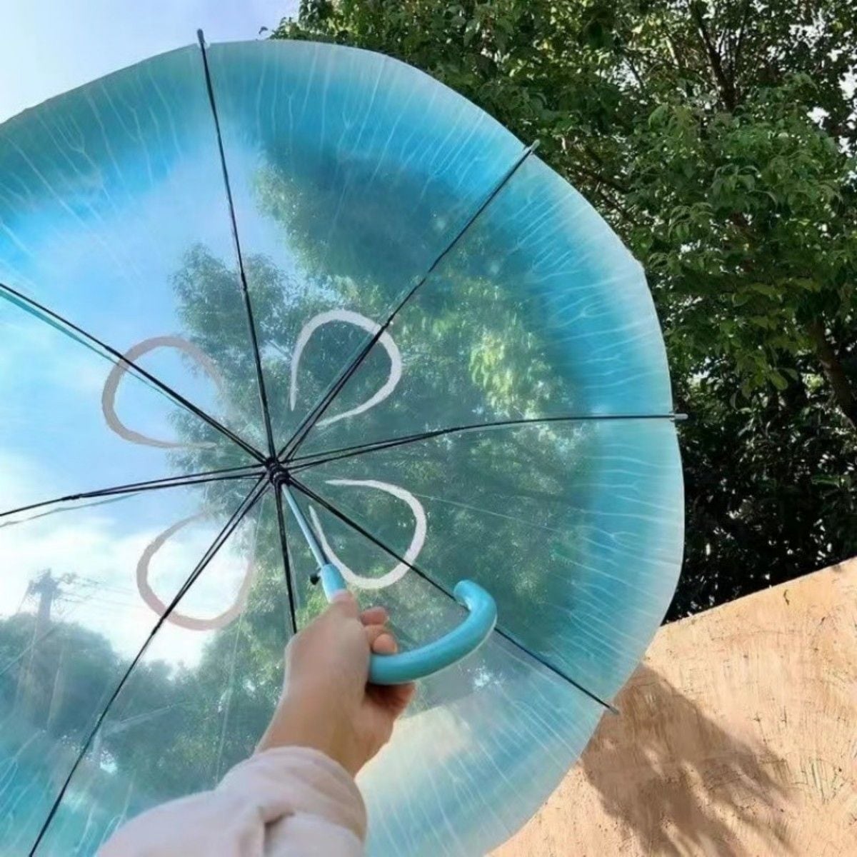 8208905133.jpg