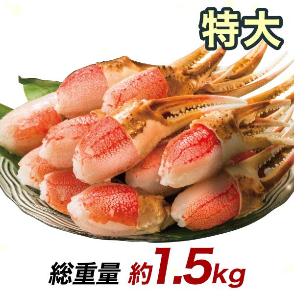 ポーション ずわいがに 生 特大生ずわい爪肉剥き身 総重量:約1.5kg(正味1.2kg) カニ鍋 かにしゃぶ
