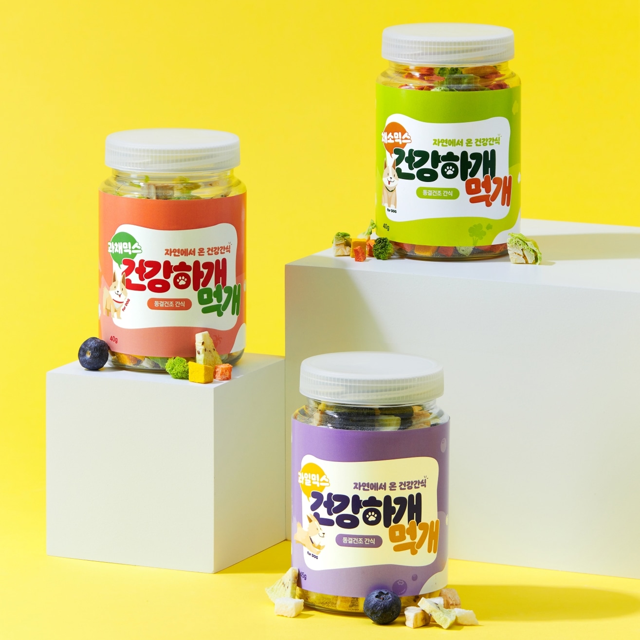 건강하개 먹개 동결건조 3종세트