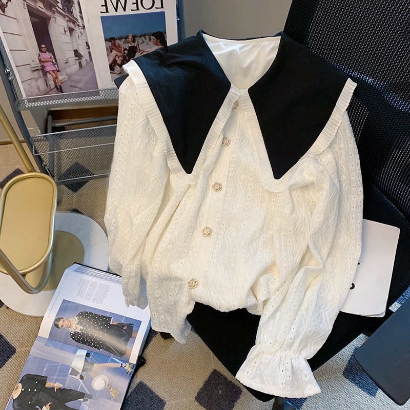 トップス ブラウス カットソー 袖あり 長袖 Vネック 襟付き レース 刺繍 フリル 前開き 透け感 シースルー かわいい 大人可愛い きれいめ 上品 おしゃれ 大人女子 ラブリー キュート ガーリー