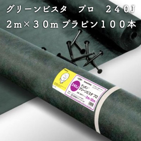 グリーンビスタ プロ 防草砂利下シート240グリーン 強力タイプ 2ｍ30m（プラピン100本付）