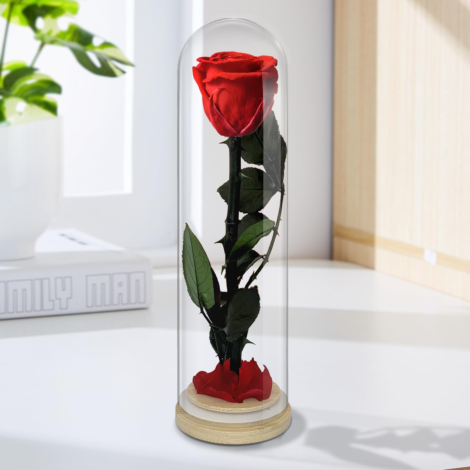 プリザーブドフラワーのバラ ガラスドーム入り レッド 枯れない花のギフト