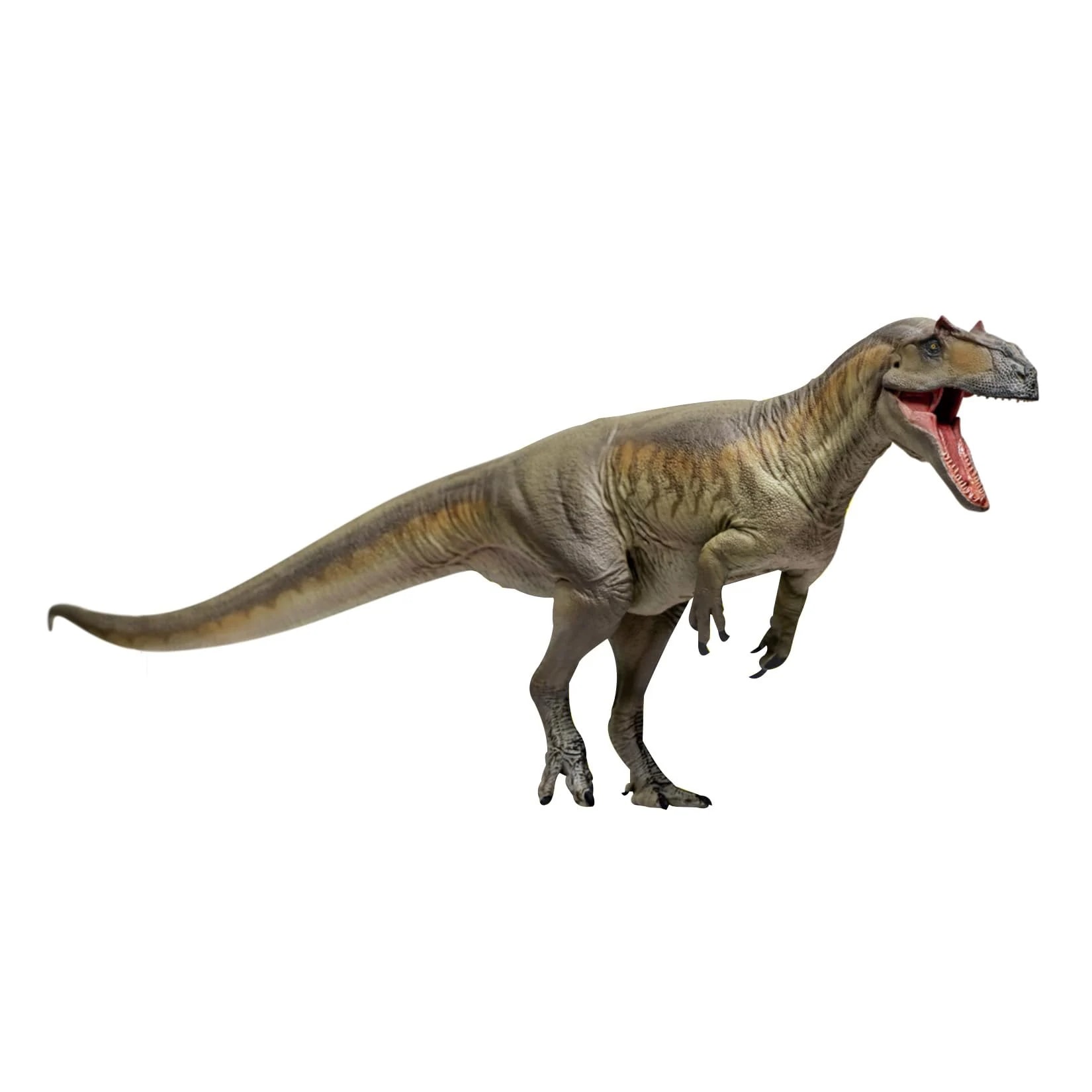 PNSO 成長シリーズ 75 サウロファガナクス フィギュア タイランチョウ科 ジュラ紀 30cm級 口開閉可能 肉食 恐竜 PVC おもちゃ 模型 恐竜好き