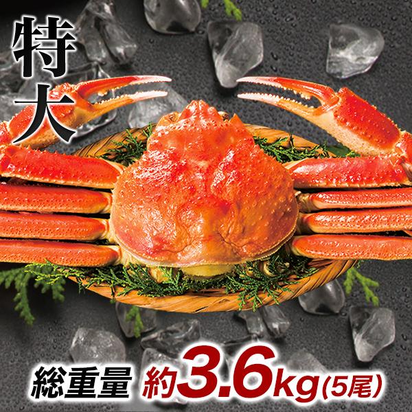 ずわいがに カニ味噌 かにみそ 茹で 特大ボイルズワイガニ姿まつり 総重量:約3.6kg(5尾 正味3kg) カニ鍋 かにしゃぶ 21,087円