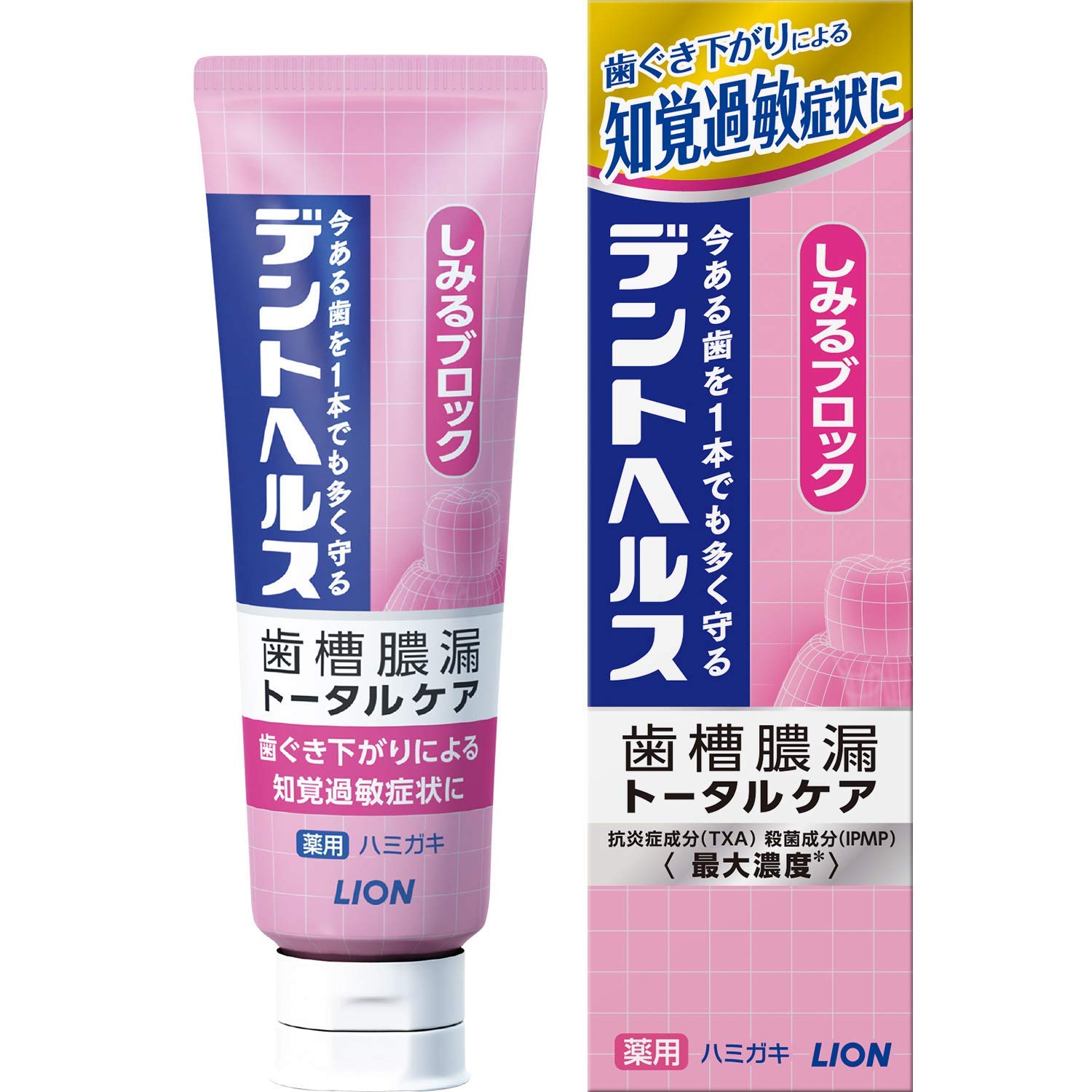 セット販売　ライオン デントヘルス 薬用ハミガキ しみるブロック (85g)×5個セット 歯槽膿漏 トータルケア 歯みがき　【医薬部外品】