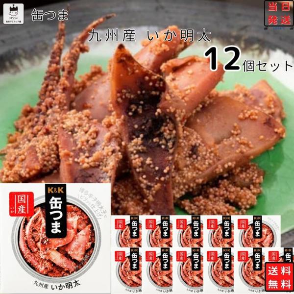 缶詰セット おつまみ 缶つま 九州産 いか明太 12個セット 国分 7,584円