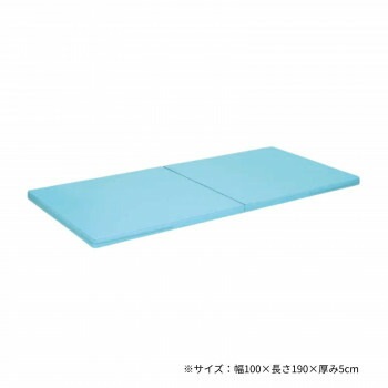 高田ベッド製作所 二つ折れ訓練マット 幅100x長さ190x厚み5cm スカイブルー TB-474