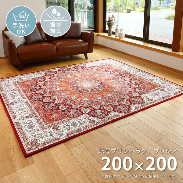 撥水加工付き 転写プリントラグ プリシア 約200x200cm