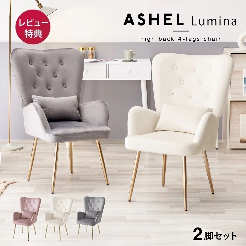 デスクチェア おしゃれ 椅子 ASHEL ハイバック ダイニングチェア Lumina ルミナ 2脚 肘付き TN-CH13D キャスターなし オフィスチェア