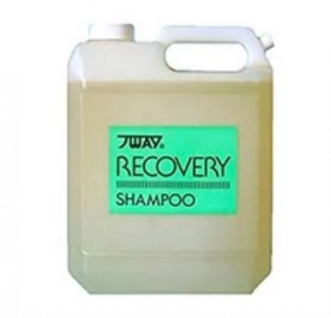 ニューウェイジャパン パイウェイ リカバリー シャンプー 4000ml 業務用全商品最安値に挑戦