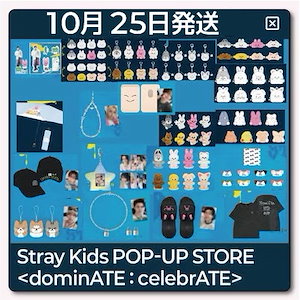 straykids popup celebrATE
