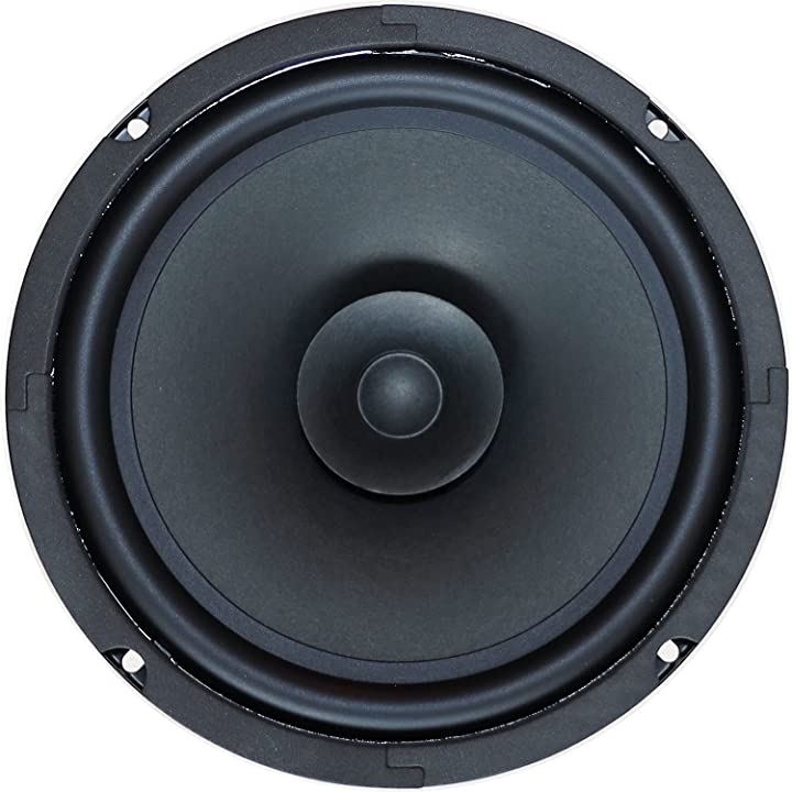 ダイトーボイス DS-200R 8Ω 20cm フルレンジスピーカー ダブルコーンスピーカー 20W