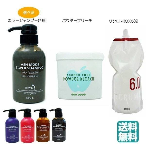 ロイドカラーシャンプー 300ml 各種 と サロン専売品 パウダーブリーチ（脱色剤）500ｇ＆リク