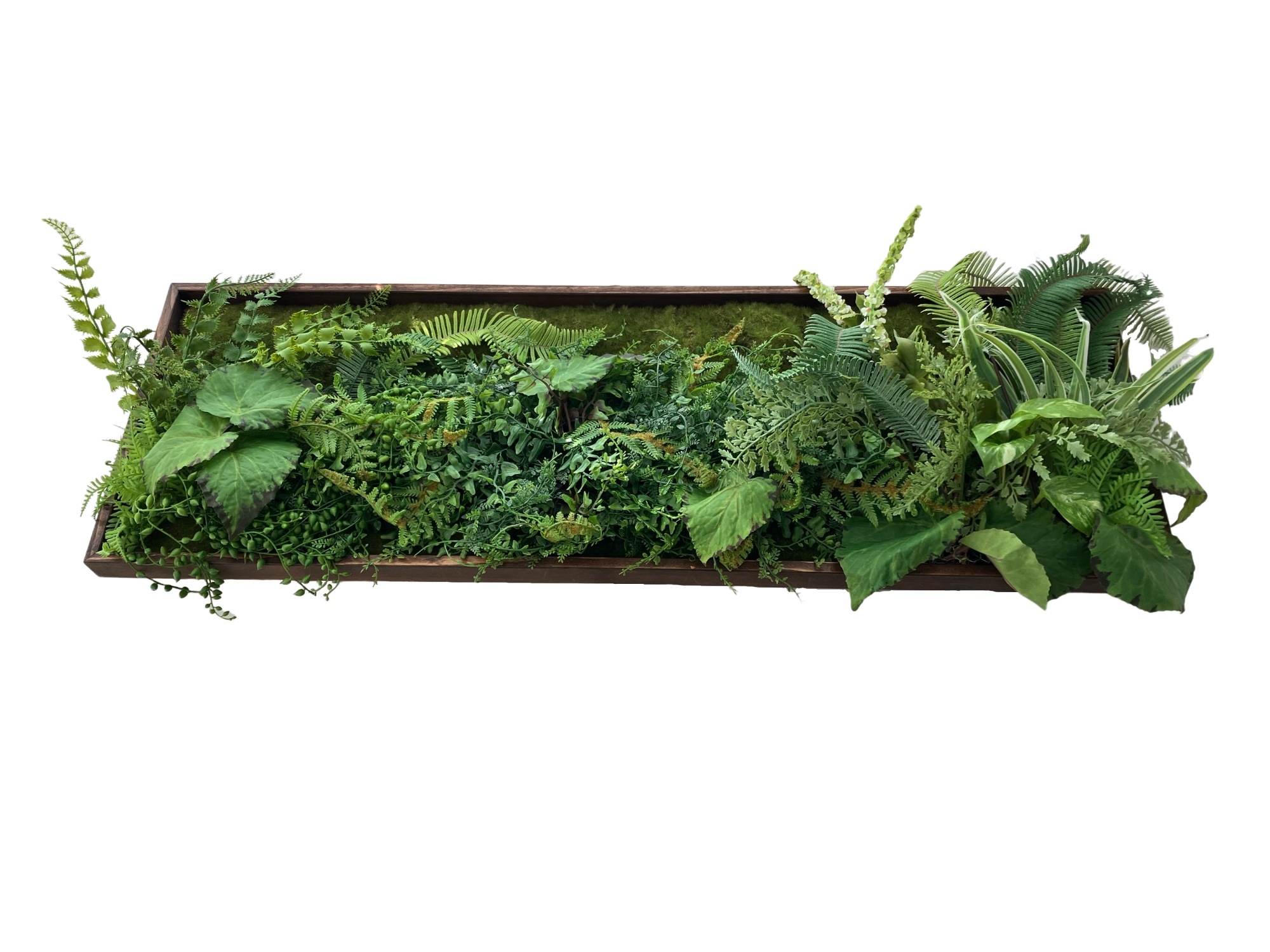 フェイクウォールグリーンアート １点もの C１