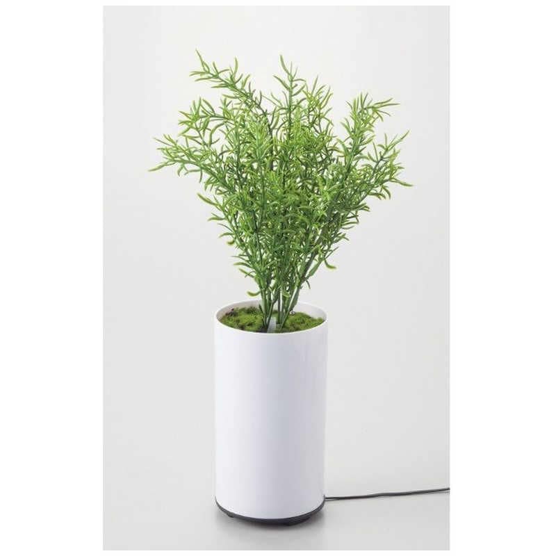 イシグロ　グリーンディフューザー タイプB[超音波式]　70091