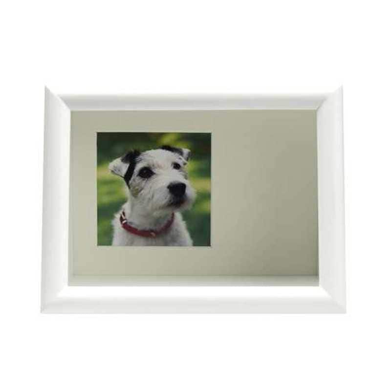 ケンコー　ディスプレイBOX 2L ホワイト　PS-MB-2L-WH