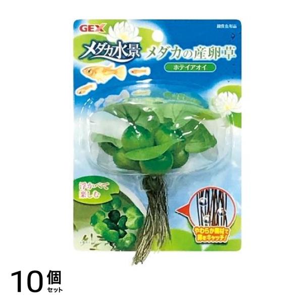 GEX メダカの産卵草 ホテイアオイ 1個入 10個セット