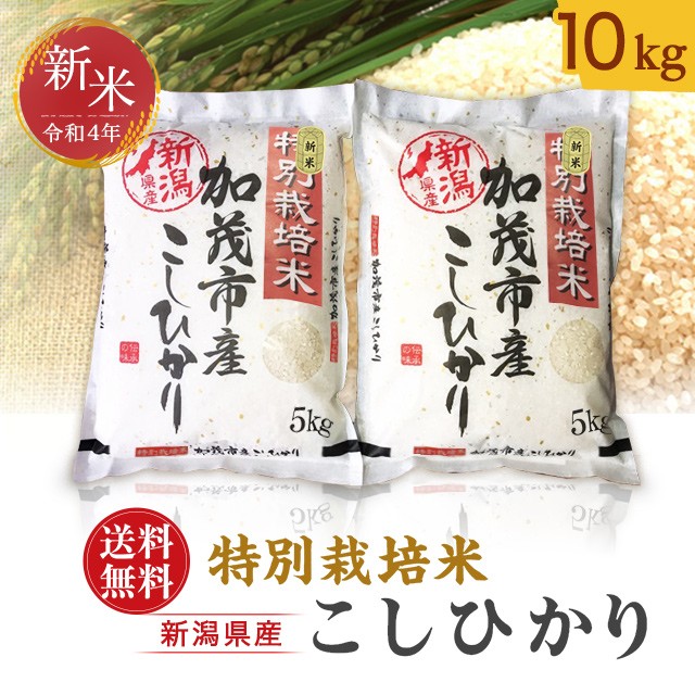 でおすすめアイテム。 新米 10kg こしひかり 特別栽培米 加茂産 新潟県