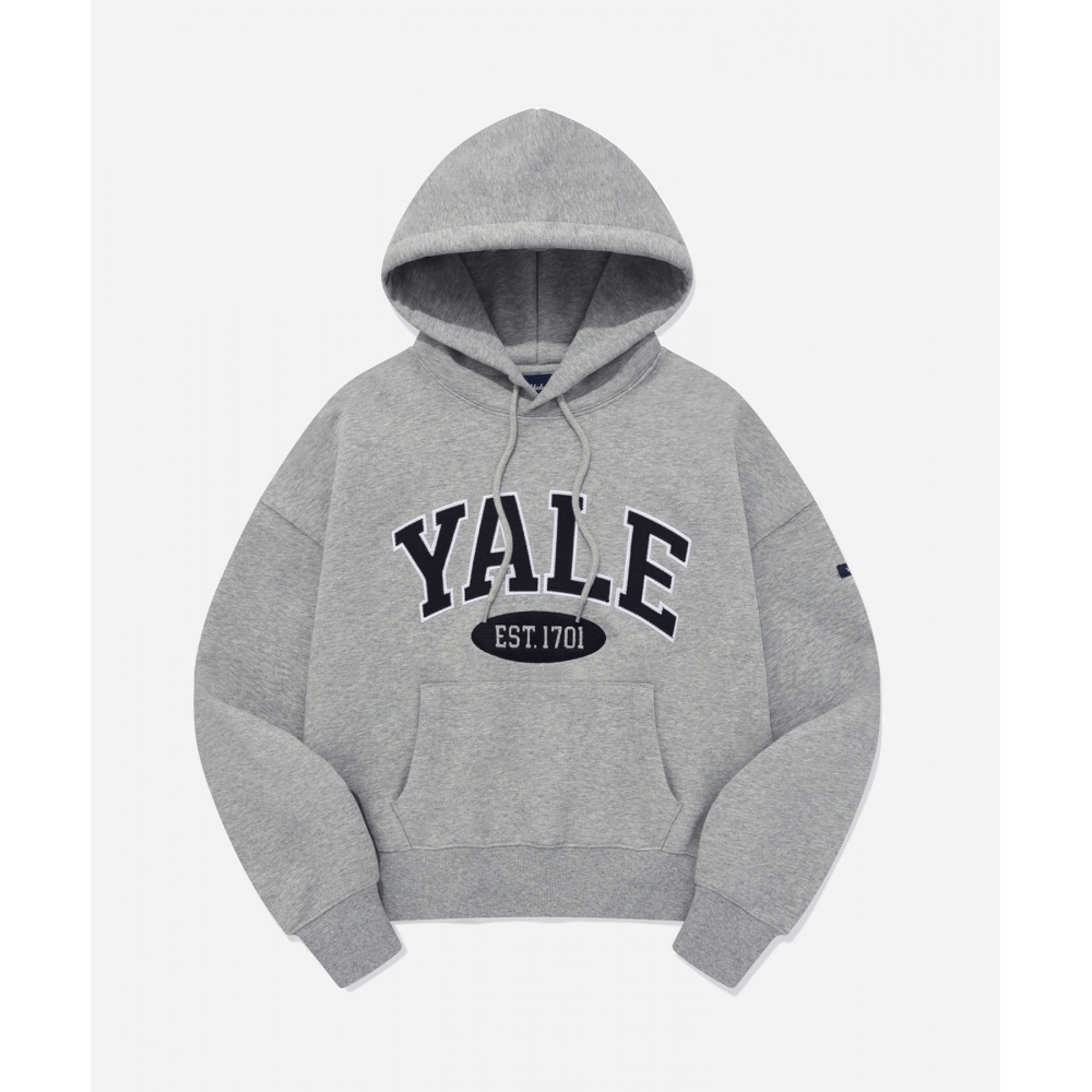 エール (23FW) ツートーンアーチクロップパーカーグレー