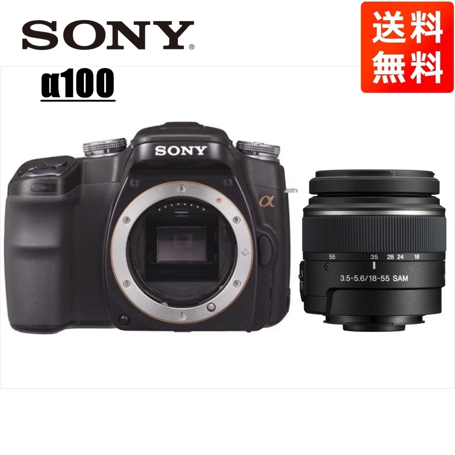 α100 DT 18-55mm 標準 レンズセット デジタル一眼レフ カメラ 中古