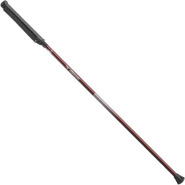 MIZUNO ミズノ マイティポール ショートタイプ 2本1組 ユニセックス ウォーキング ウォーキングポール メンズ C3JTP34066