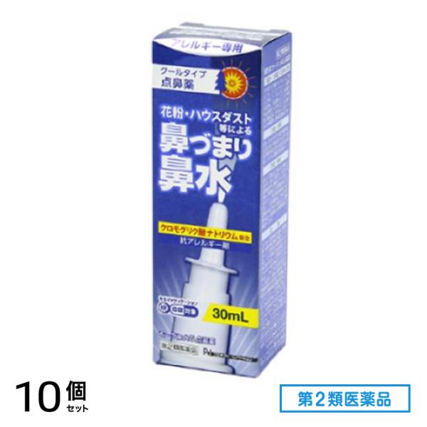 第２類医薬品 モーテンAG点鼻薬 アレルギー専用鼻スプレー 30mL 10個セット 5,254円