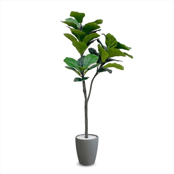 アーバン通商 フェイクグリーン フィカス・リラータ 1200mm VAR-120GY グレー メーカー直送