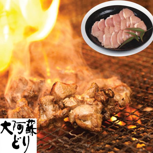 熊本 大阿蘇どり 焼肉 B SISK