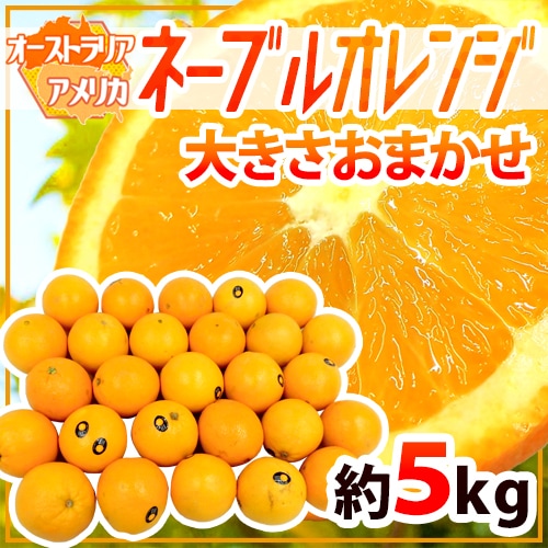 =ネーブルオレンジ= 約5kg 大きさおまかせ アメリカ/オーストラリア産 予約 入荷次第発送