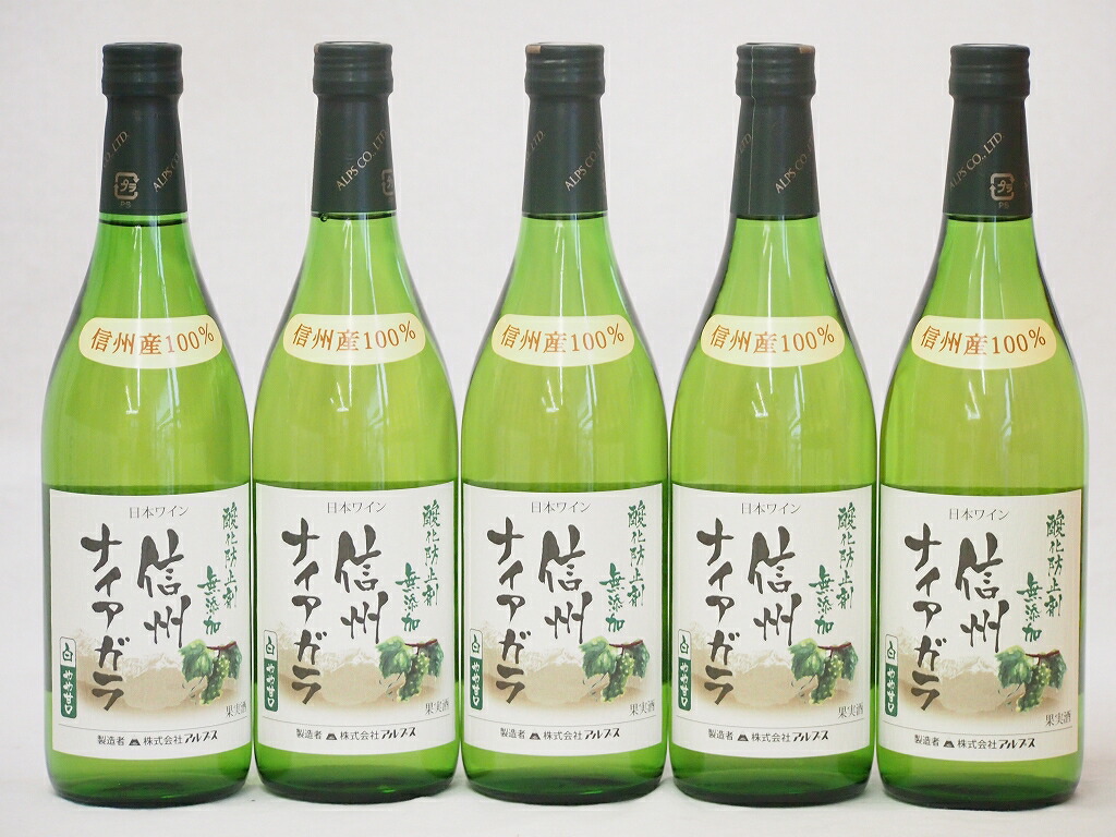 信州ナイアガラ 白ワインセット 信州産100% 酸化防止剤無添加 やや甘口(長野県)720ml5