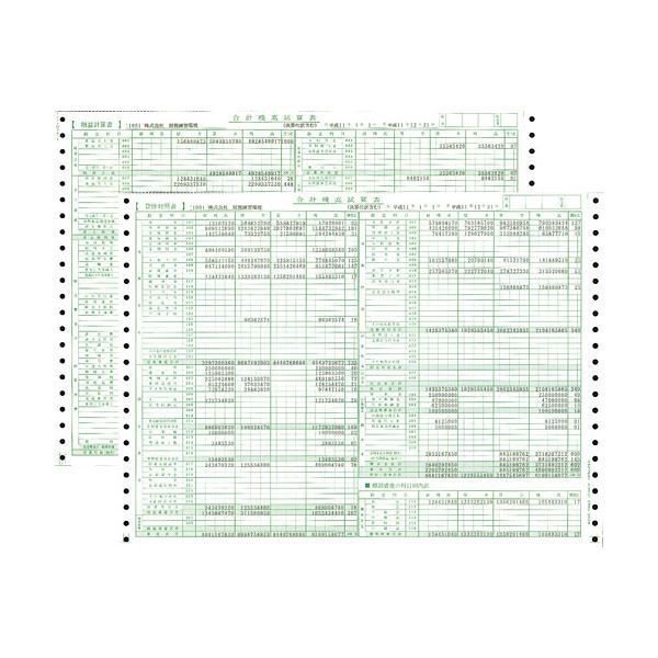 東京ビジネス 合計残高試算表 （一般/科目印刷） CG100600 1冊（50セット） [x10]