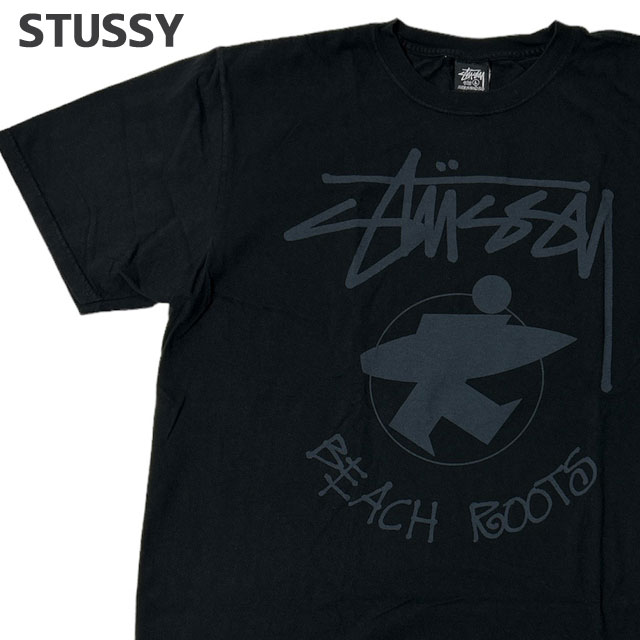 ステューシー STUSSY BEACH ROOTS PIG.DYED TEE ピグメント ダイ 200-009430-051