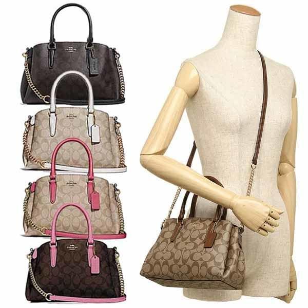MINI SAGE CARRYALL IN SIGNATURE CANVAS F29434