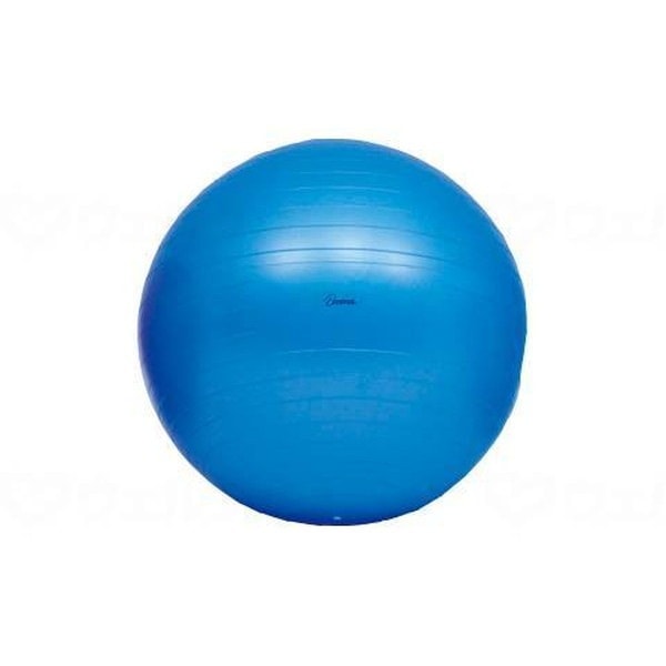 ボディーボール 青 65 H7262 メーカー直送
