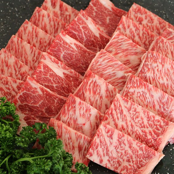 ☆安心の定価販売☆】 佐賀牛 肩ロース 肩ロース480g 肩ロース480g 焼肉 その他 - aegis.qa