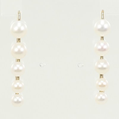 HERMES エルメス希少アッシュトレー 小物置きトレー ブルテリア犬