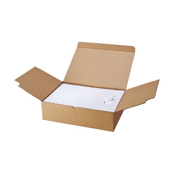 （まとめ） TANOSEE マルチプリンターラベル 業務用パック A4 4面 105148.5mm 1箱（500シート：100シート5冊） 2セット