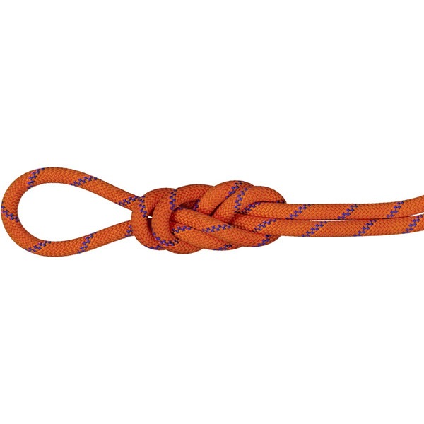 MAMMUT マムート 9.0 Alpine Sender Dry Rope アウトドア アクセサリー 201004200D-11237