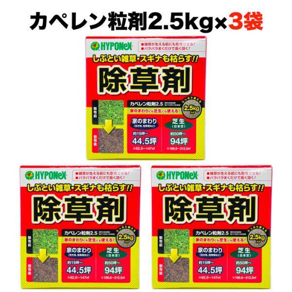 除草剤 強力 粒剤 顆粒 カペレン粒剤2.5 3袋セット 芝生にも使用可能 土壌処理型 DBN粒剤 雑草を長期間抑える スギナやヨモギに使える 粒タイプ 粉末