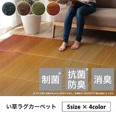 【メーカー直送品】イケヒコ・コーポレーション クリア BL 約190&times;300cm ブルー