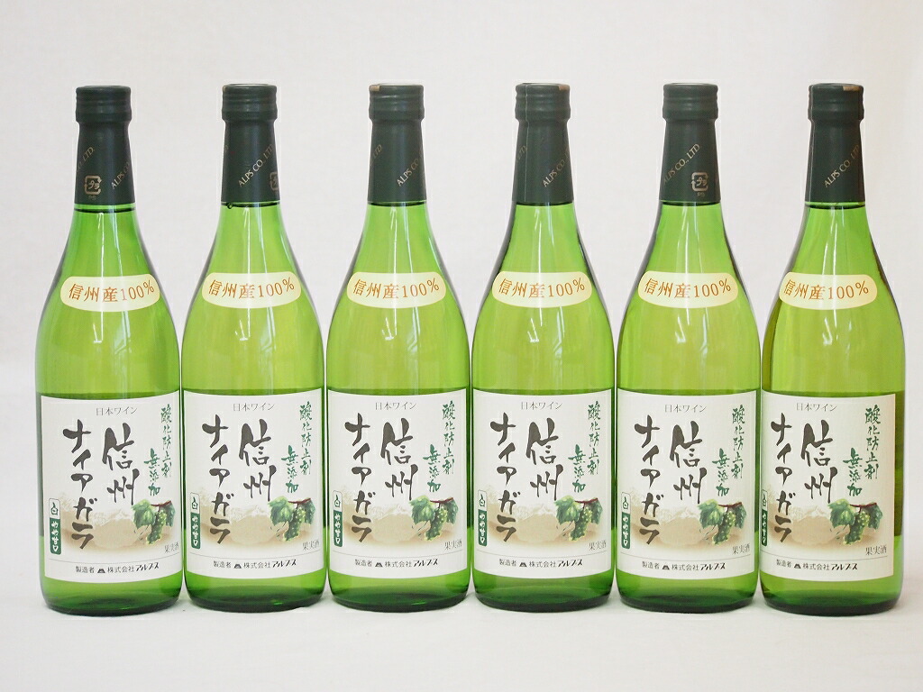 信州ナイアガラ 白ワインセット 信州産100% 酸化防止剤無添加 やや甘口(長野県)720ml6