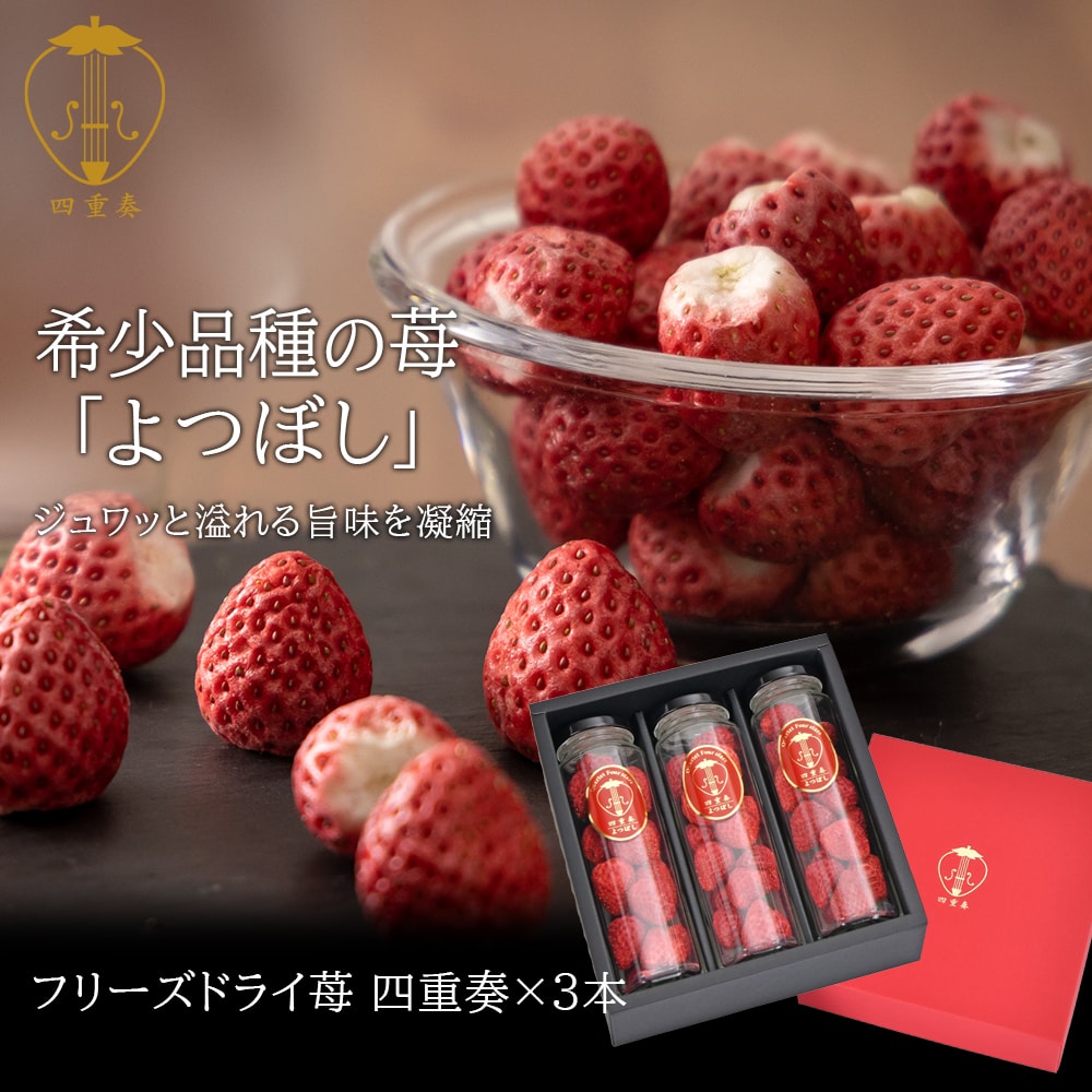 よつぼしいちご100％ フリーズドライ苺 四重奏 3本セット 丸進ファーム いちご 敬老の日 母の日