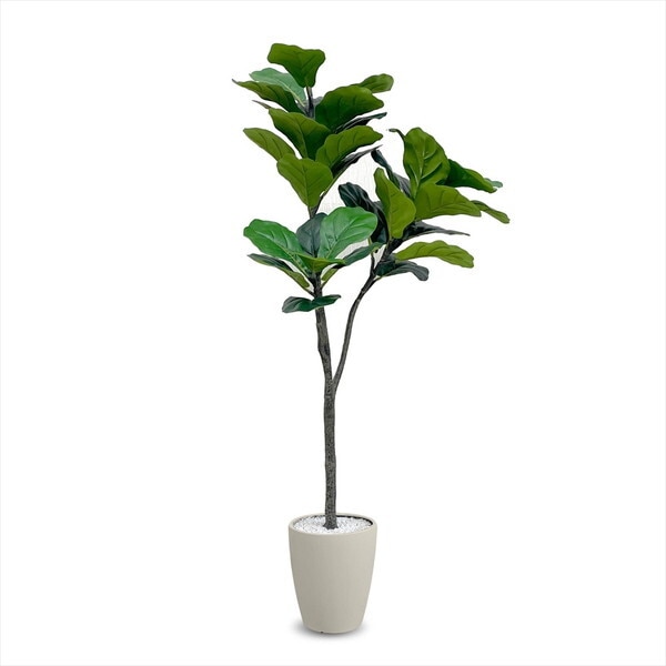 アーバン通商 フェイクグリーン フィカス・リラータ 1200mm VAR-120IV アイボリー メーカー直送 11,167円