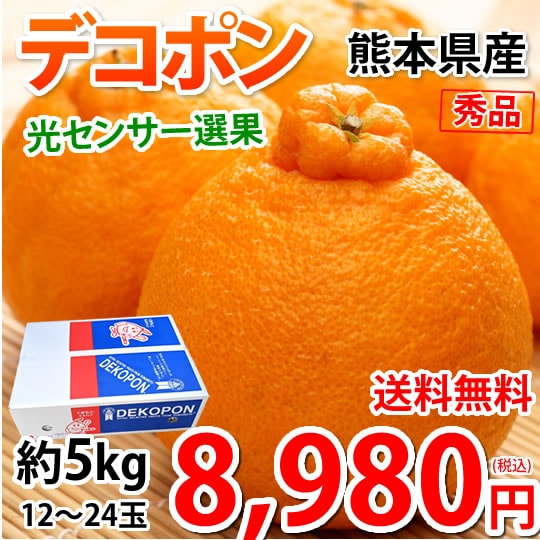 デコポン 光センサー選果 秀品約5kg 熊本県産 不知火 フルーツ お取り寄せ